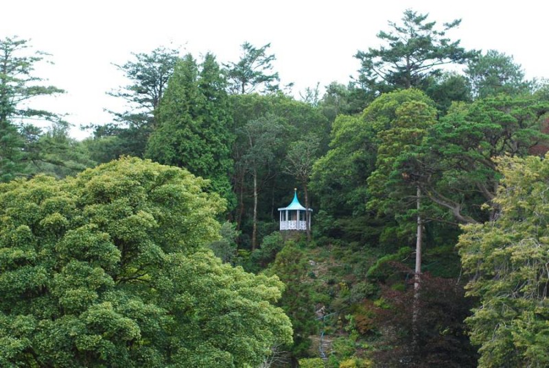 portmeirion-forest