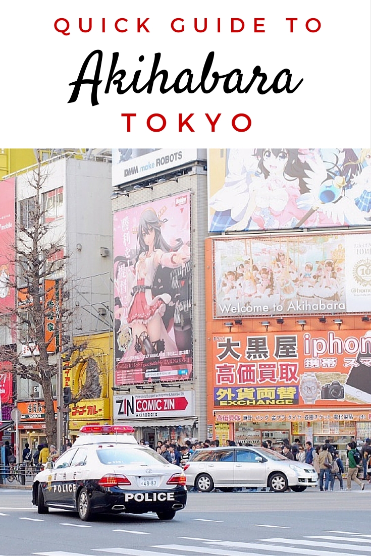 If you're in Tokyo, you have to visit Akihabara! It's a crazy neighbourhood full of anime, gaming, electronics and maid cafes. 