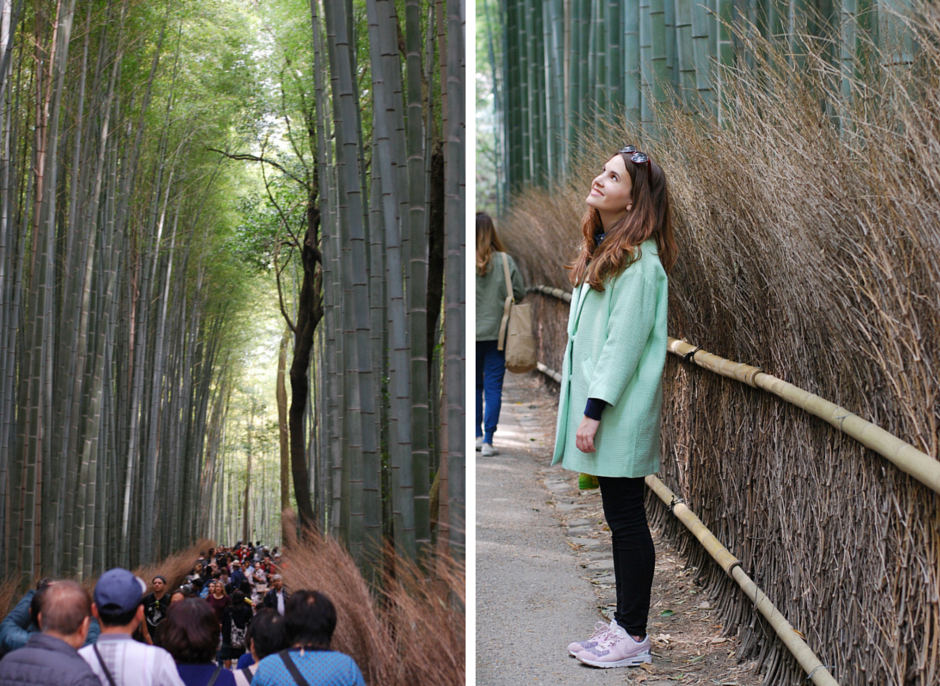 kyoto arashiyama bamboo grove