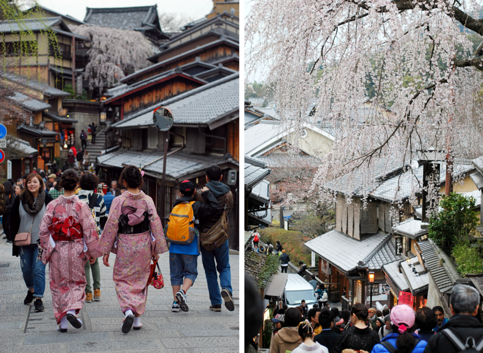 kyoto cherry blossoms