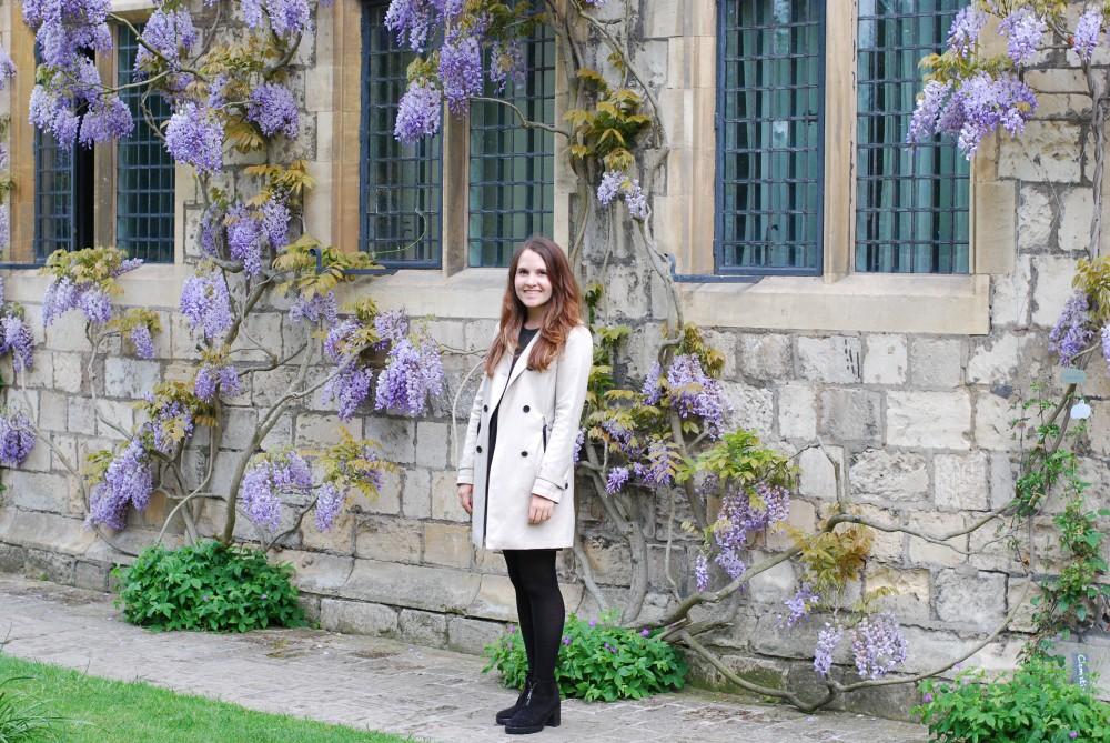 York wisteria at Treasurer's House