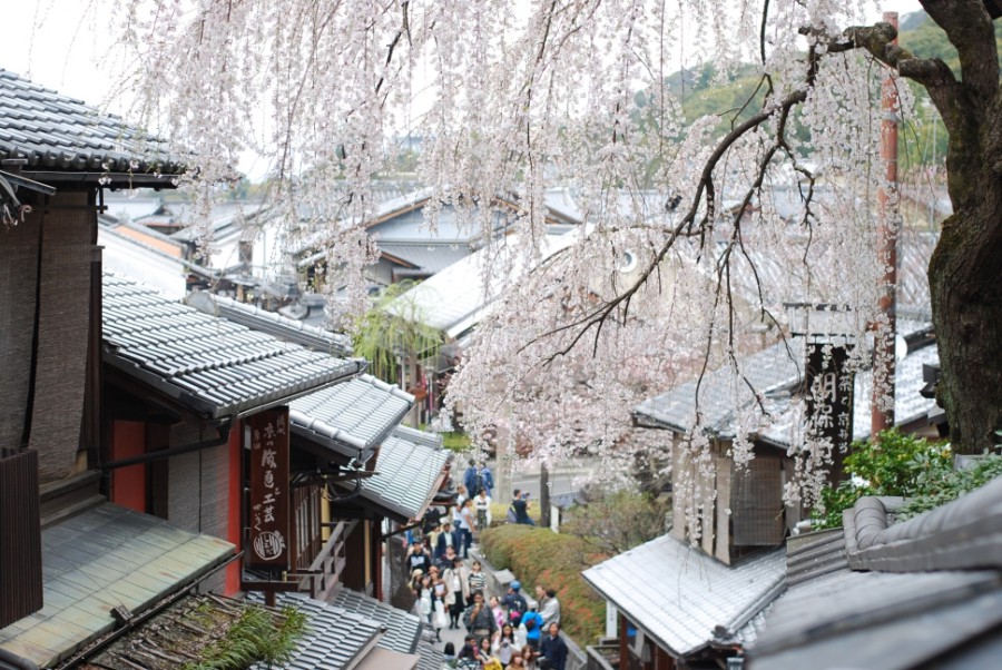 kyoto sannenzaka cherry blossom