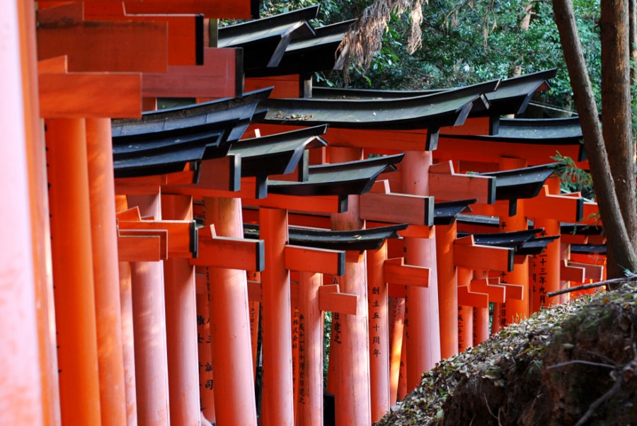 kyoto_fushimi inari taisha kyoto torii