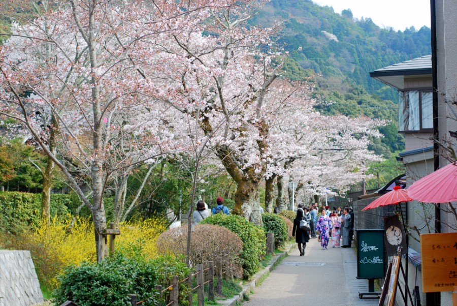 philosopher's path kyoto