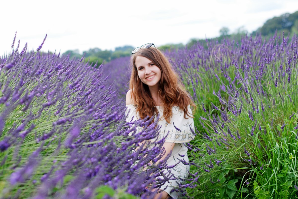 City Cookie lavender field