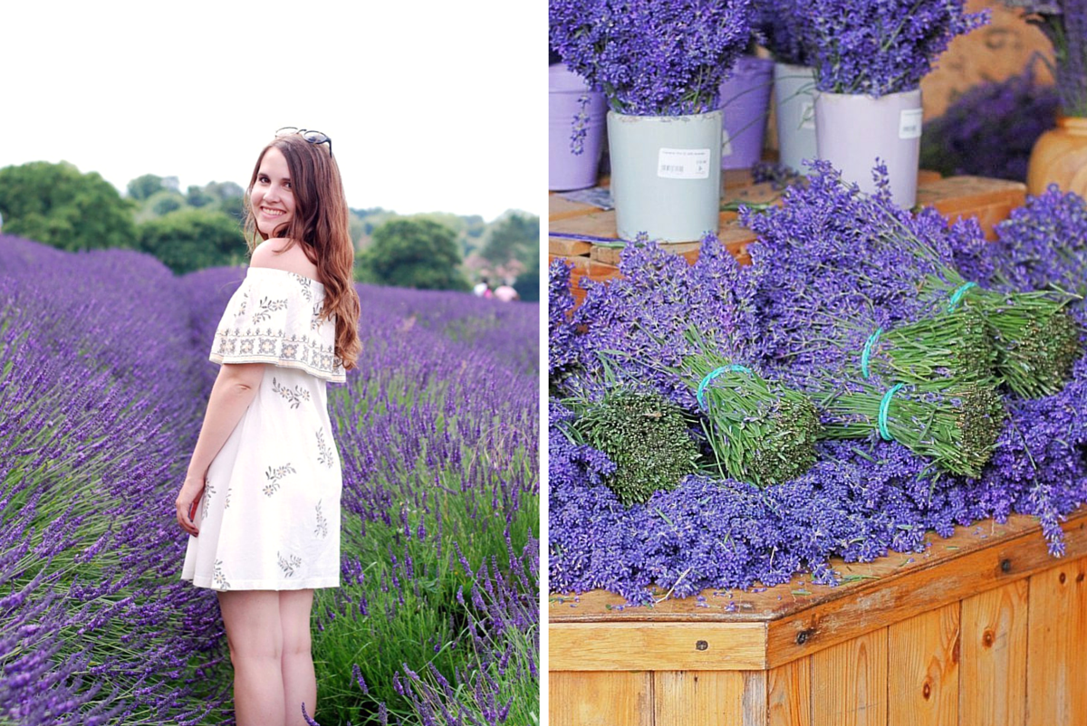 Lavender Fields in London