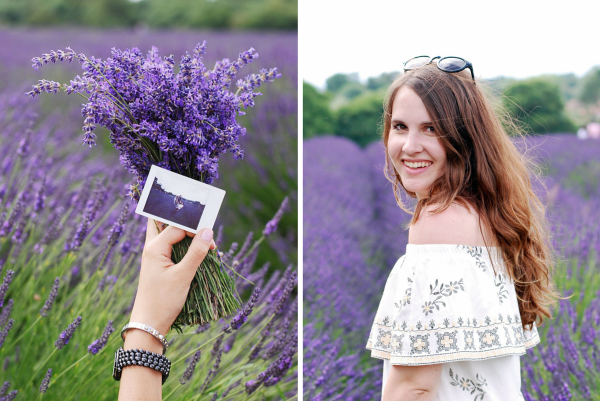 London lavender fields