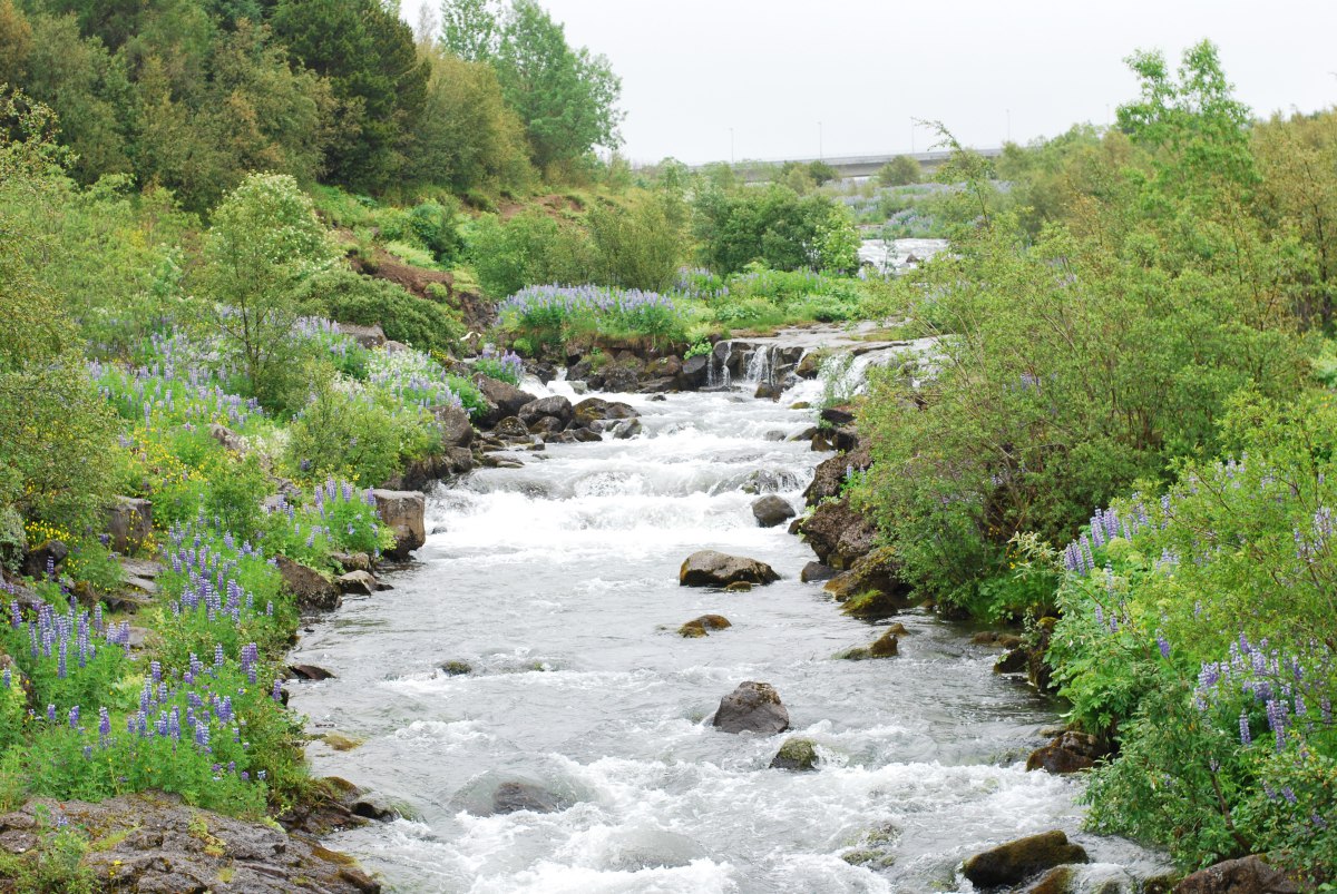 elidaardalur reykjavik