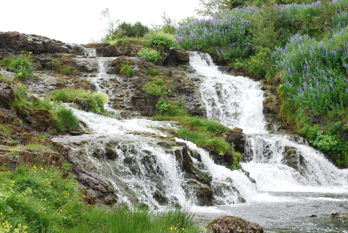 iceland waterfall reykjavik