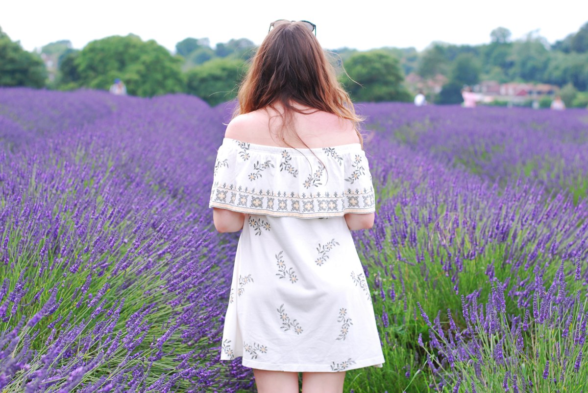 lavender london mayfield