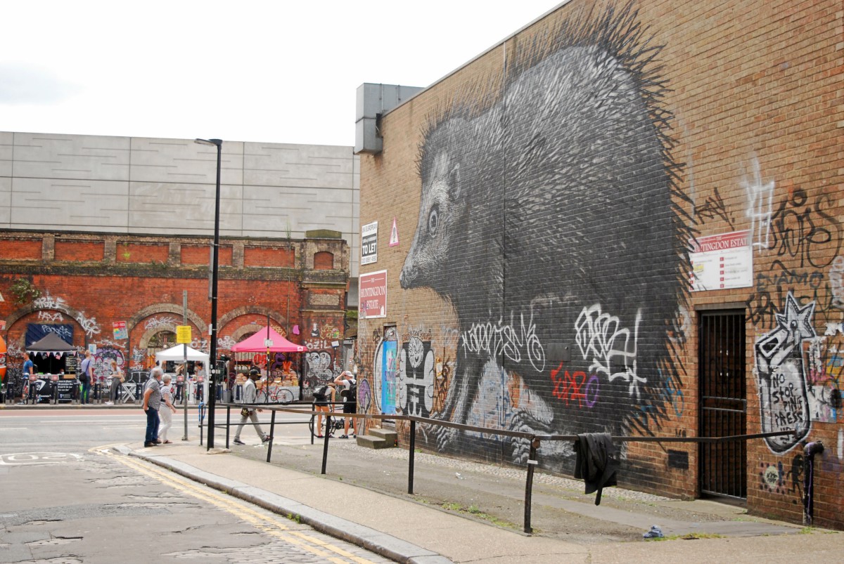 ROA Hedgehog