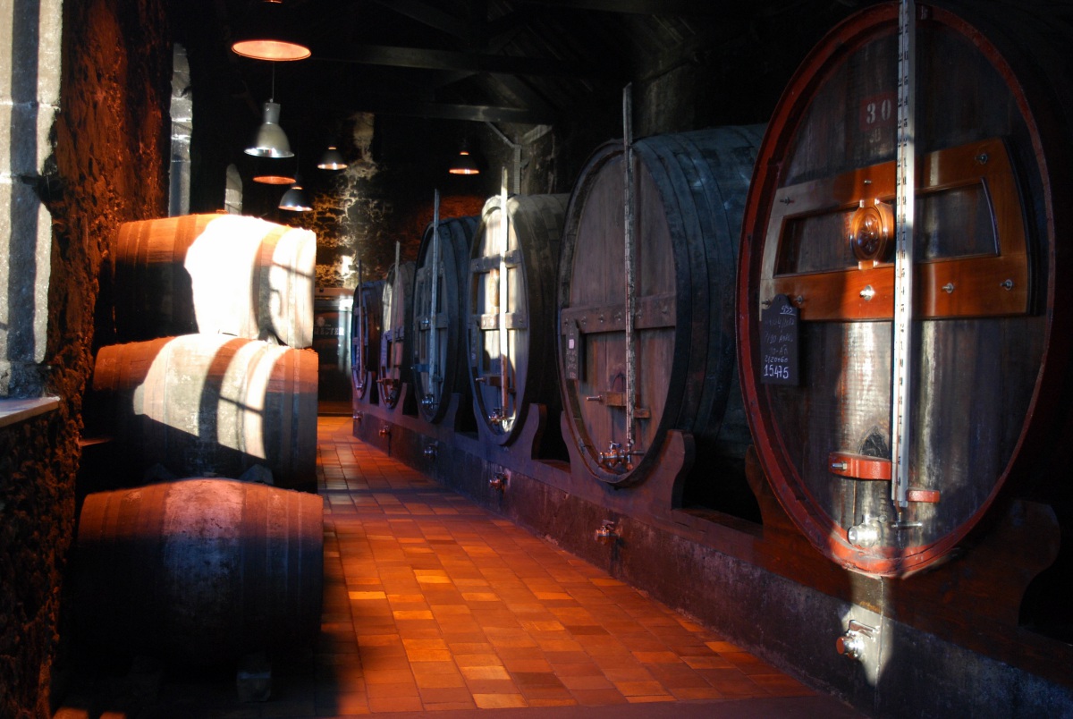 porto-port-wine-cave