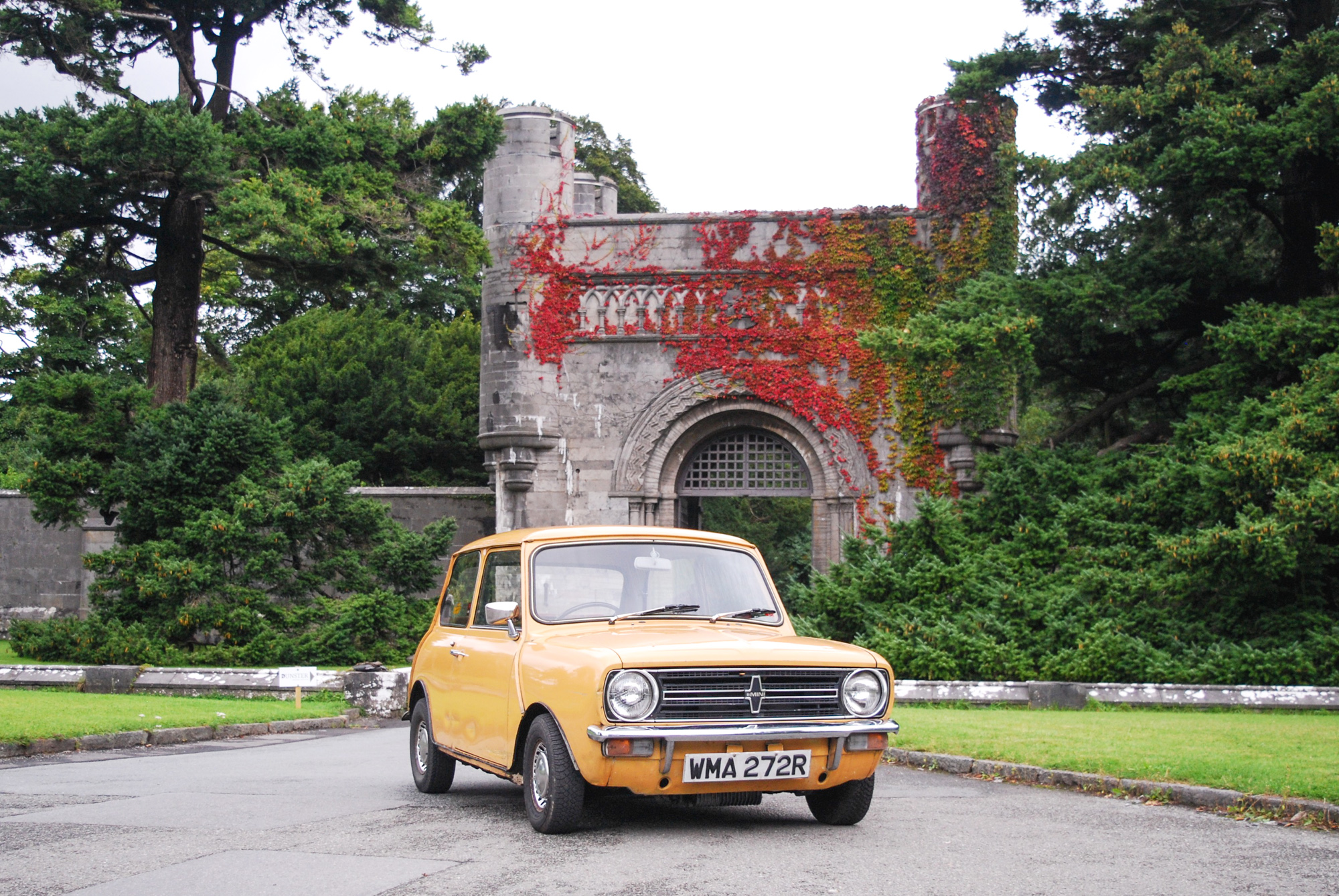 classic mini cooper car